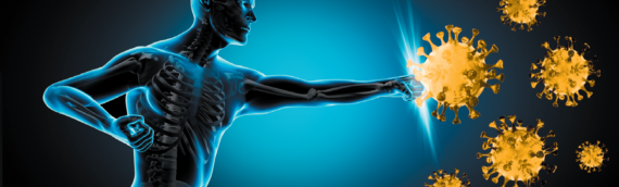 The Impact of Chiropractic Care on Your Body’s Defense System in Chicago